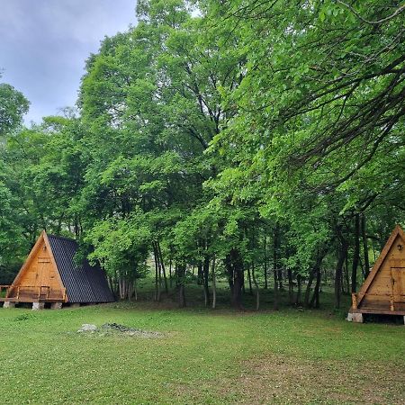 Wolf & Sheep Nature & Adventure Podgorica Extérieur photo