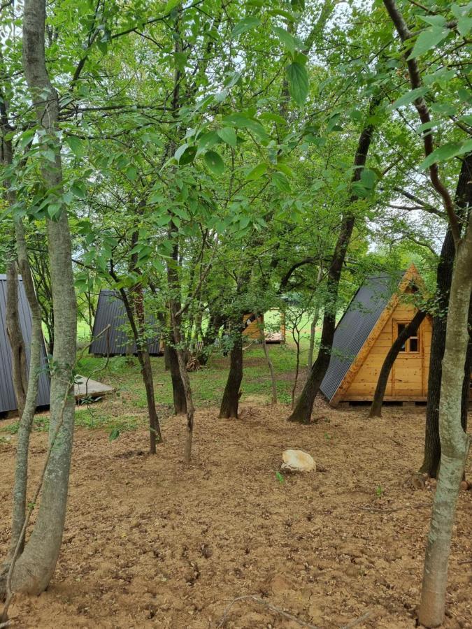 Wolf & Sheep Nature & Adventure Podgorica Extérieur photo