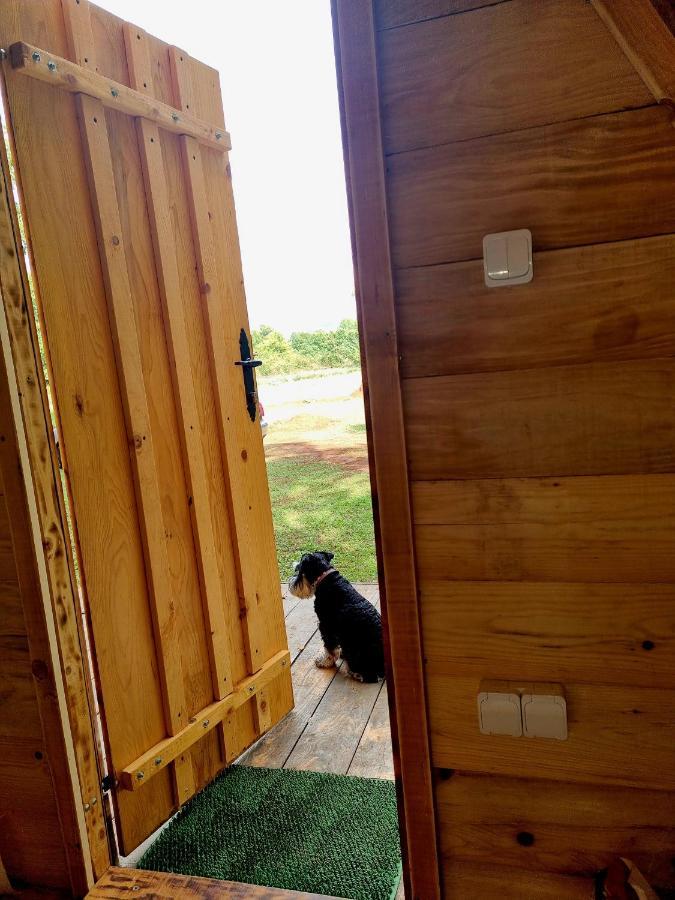 Wolf & Sheep Nature & Adventure Podgorica Extérieur photo