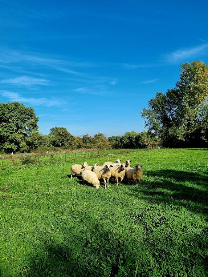 Wolf & Sheep Nature & Adventure Podgorica Extérieur photo