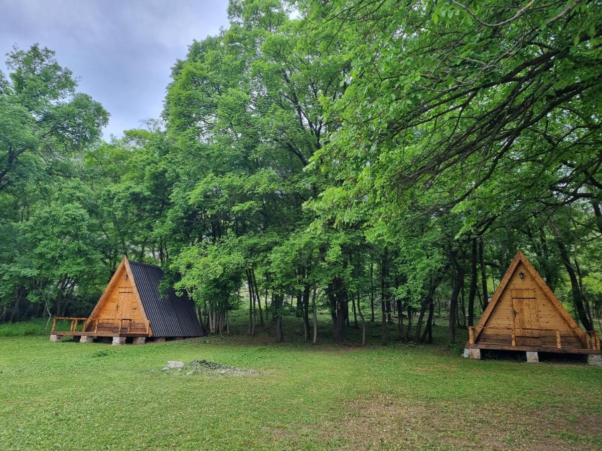 Wolf & Sheep Nature & Adventure Podgorica Extérieur photo